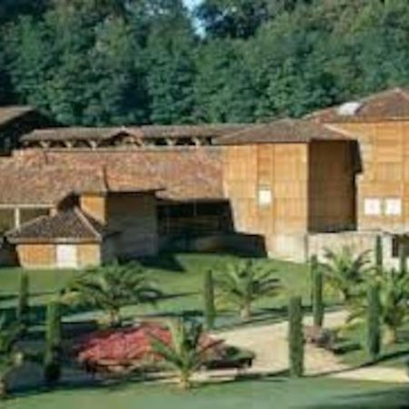 Maison Avec Piscine Proche Des Thermes Mauleon-D'armagnac المظهر الخارجي الصورة